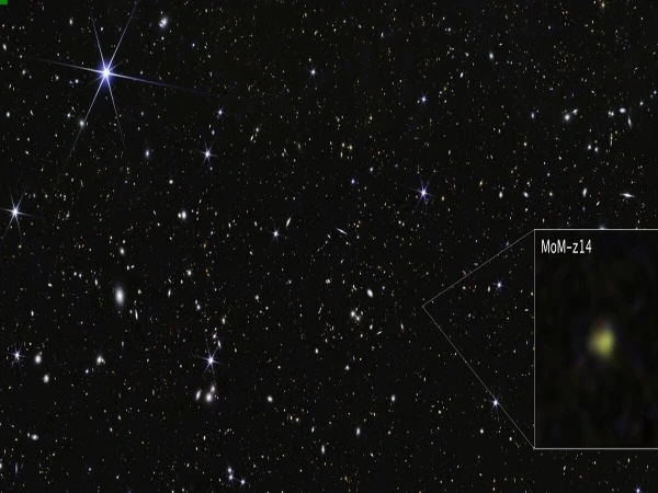 New information on the early stages of the universe