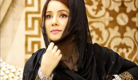 Harassment incident with Rabi Pirzada