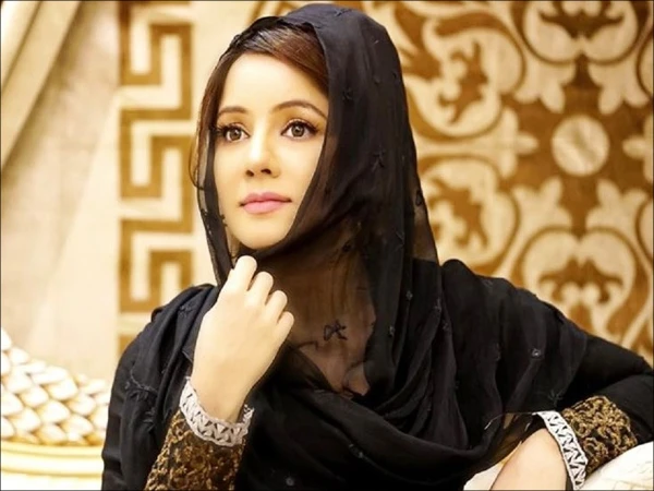 Harassment incident with Rabi Pirzada