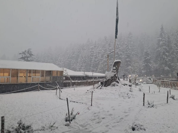 Snowfall in different areas of Swat
