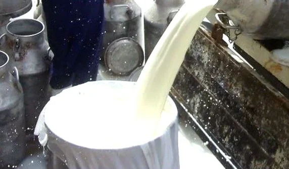 Dairy farmers demand increase in milk price