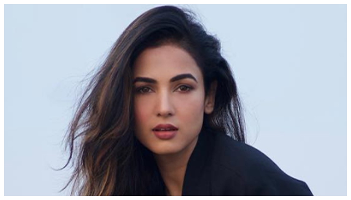 Indian actress stranded at Dubai airport