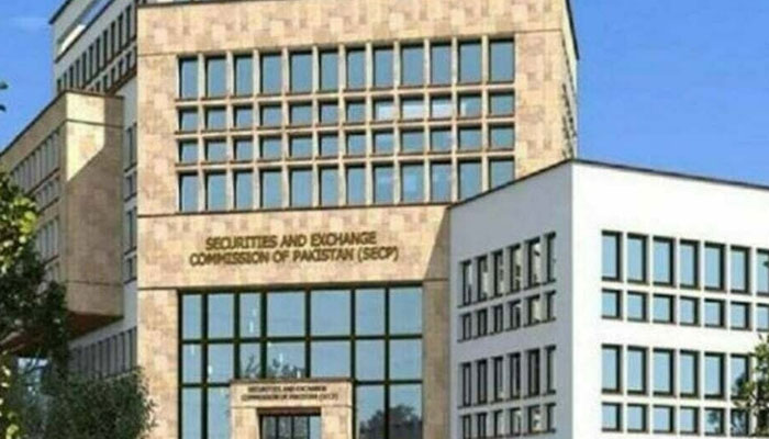 Economic activity picks up in Pakistan