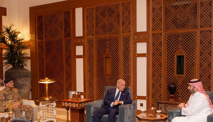 Pakistan and Saudi Arabia jointly working