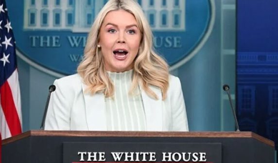 White House spokesman