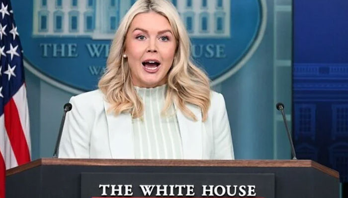 White House spokesman