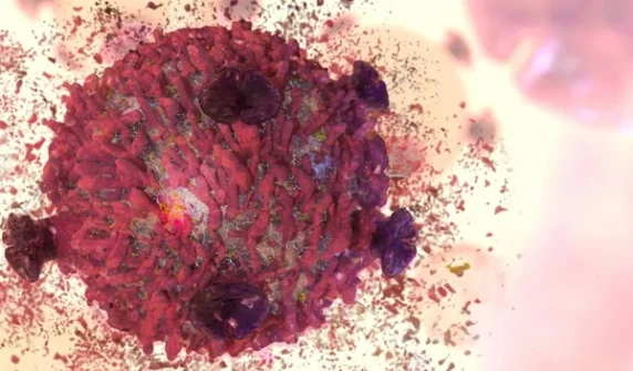 New iron nanomaterial developed to fight cancer cells