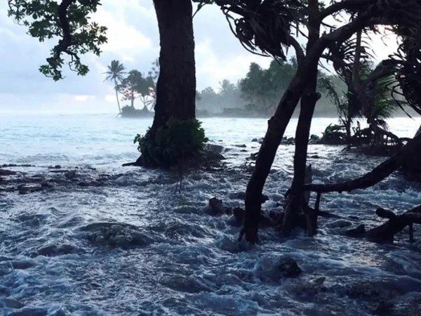 Scientists' estimates of global sea level rise turned out to be wrong