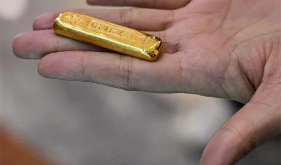 Huge gold found in duck's stomach