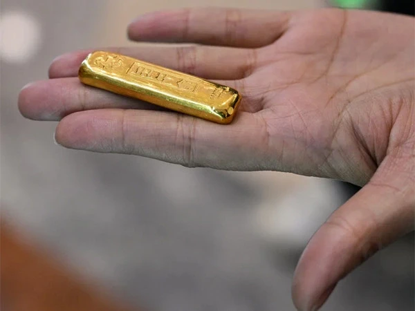 Huge gold found in duck's stomach