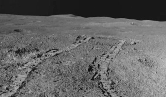 Scientists grow chickpeas in lunar soil
