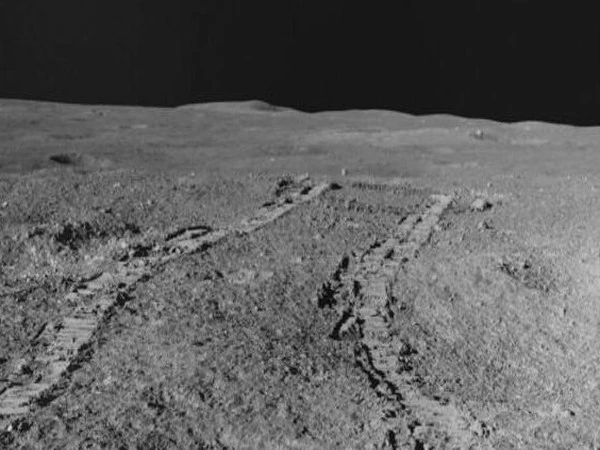 Scientists grow chickpeas in lunar soil