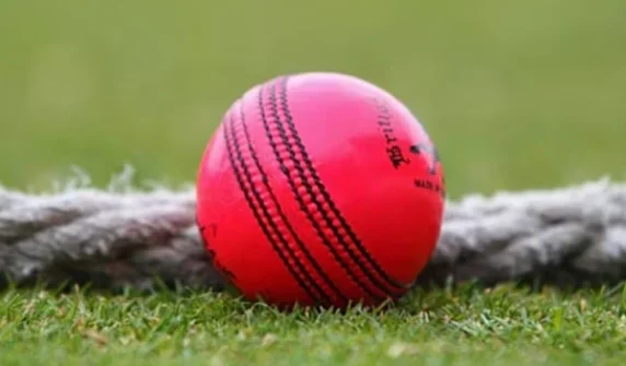 Pink ball Tests banned in Ashes series