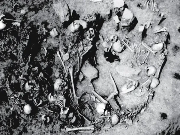 3,000-year-old mass grave discovered in Serbia