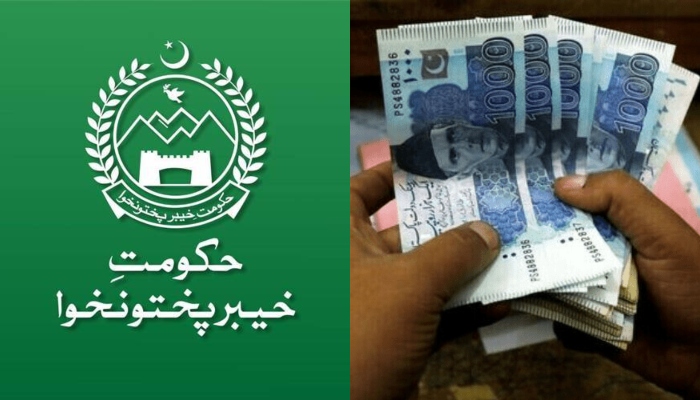 Loans exceed Rs809 billion in first 6 months of fiscal year
