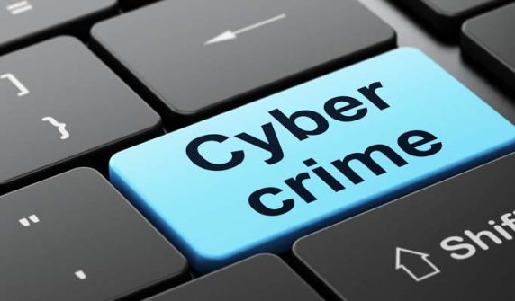 Cybercrime unit established in Punjab