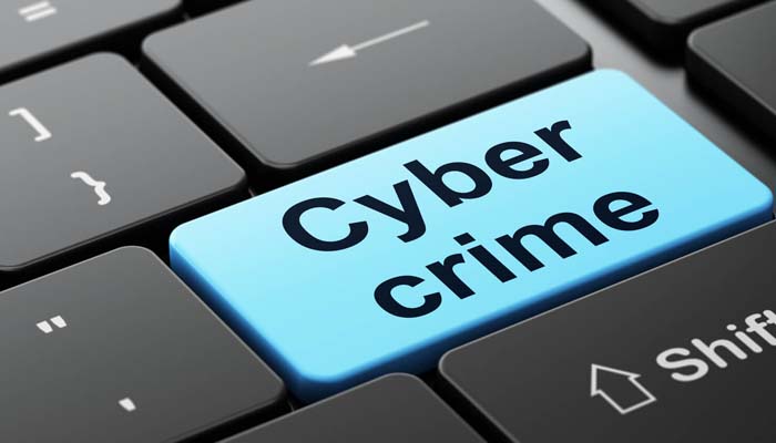 Cybercrime unit established in Punjab