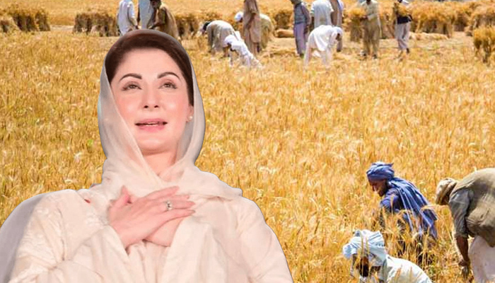 Punjab Chief Minister announces free grain subsidy worth Rs 6 billion to wheat farmers