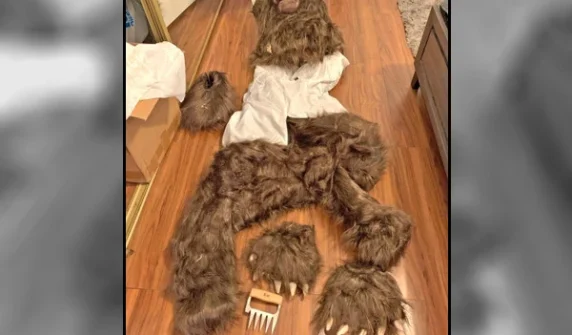 Three men sentenced for posing as bears for insurance