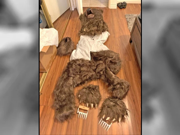 Three men sentenced for posing as bears for insurance