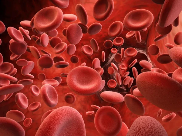 Can iron deficiency in the body be a risk factor for certain mental illnesses?