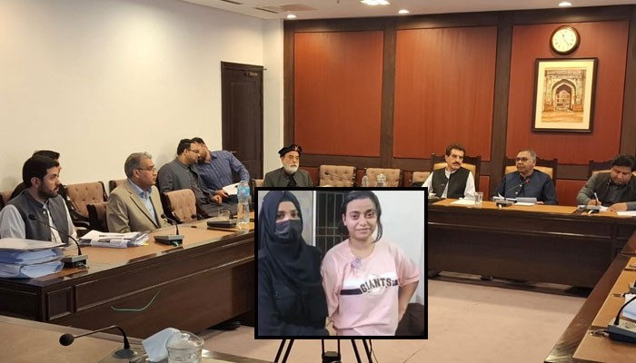 The mention of drug dealer Anmol alias Pinky reached the Senate committee meeting.