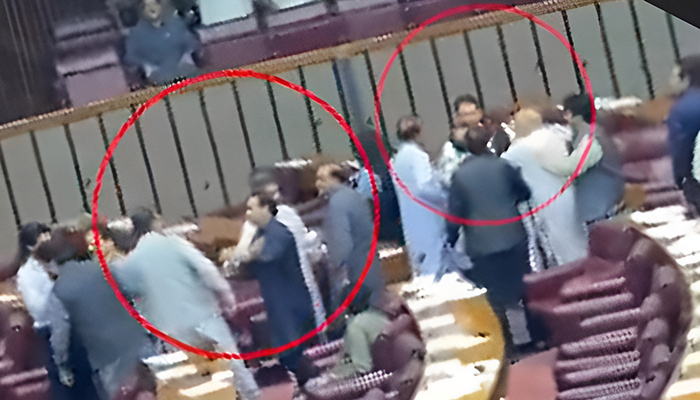 PTI members Iqbal Afridi and Junaid Akbar fought in the National Assembly.