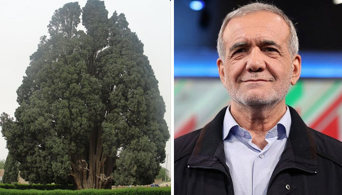 Why did the Iranian president share a photo of a 4,500-year-old tree?