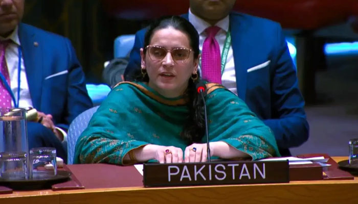 India exports terrorism