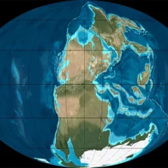 Where were today's cities millions of years ago?
