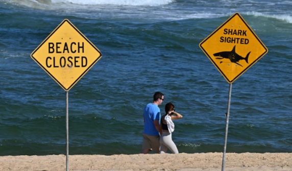 Australia: Woman seriously injured in shark attack off Sydney beach