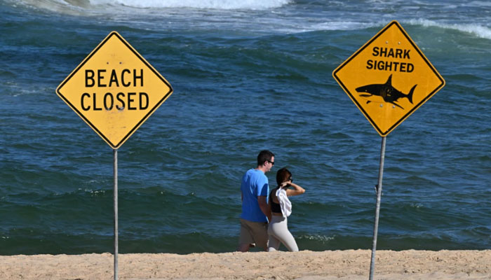 Australia: Woman seriously injured in shark attack off Sydney beach