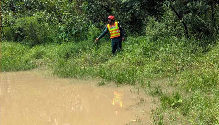 4 children who came to Nanhial for vacation drowned in a pond and died
