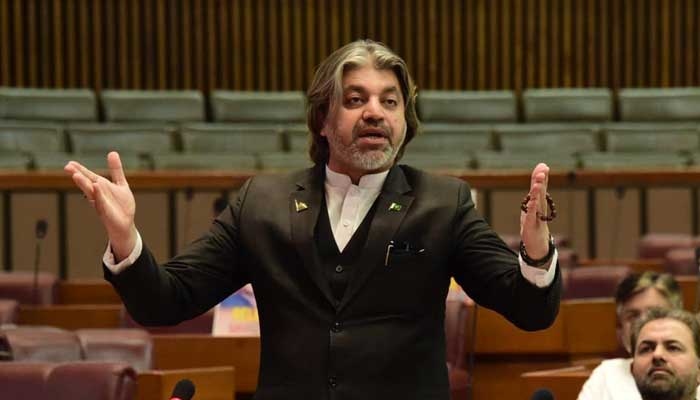 Armed forces and judiciary should not be criticized, Ali Muhammad Khan