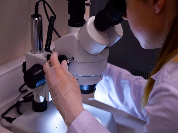 New cell therapy tested for liver patients