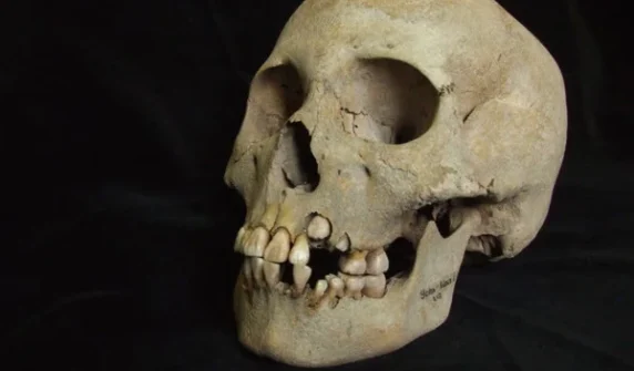 New research on the history of the plague reveals 5,500-year-old evidence