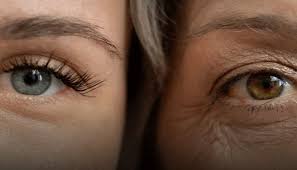 For the first time in history, a successful anti-aging therapy that rejuvenates human skin has been tested.