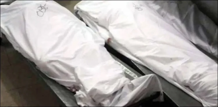 Bodies of 30-year-old mother and 8-year-old daughter recovered from home.