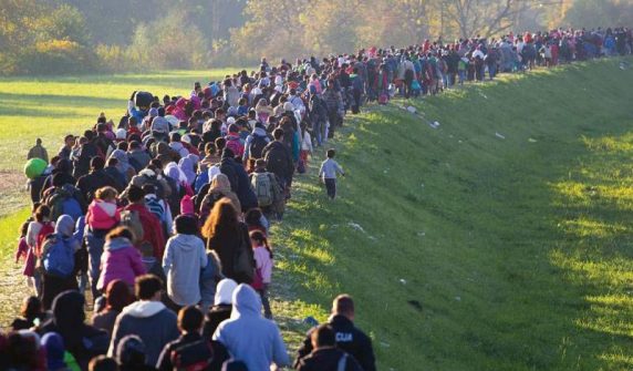 Millions of people migrate every year, revealed