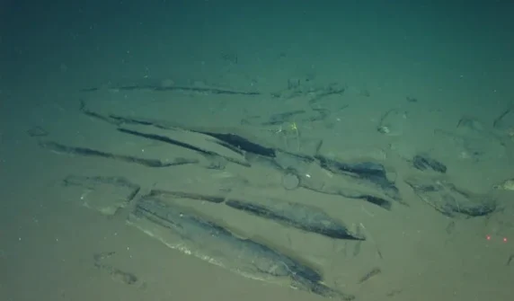 Millions of years old cemetery in the depths of the Indian Ocean