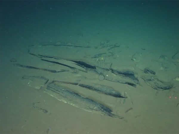 Millions of years old cemetery in the depths of the Indian Ocean