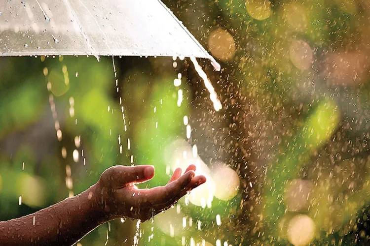 What steps should be taken to keep the skin healthy during the rainy season?