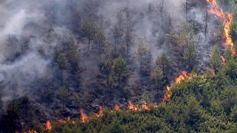 Heatwave in Europe: Forest fires break out in Spain
