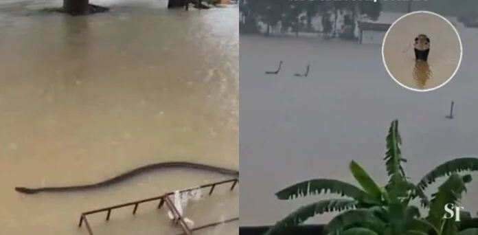 Devastating floods in China