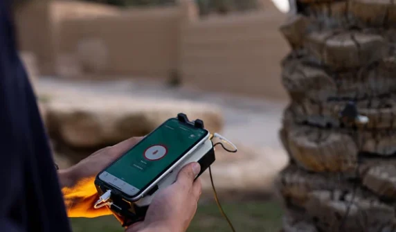 Artificial intelligence-based technology developed to save palm trees