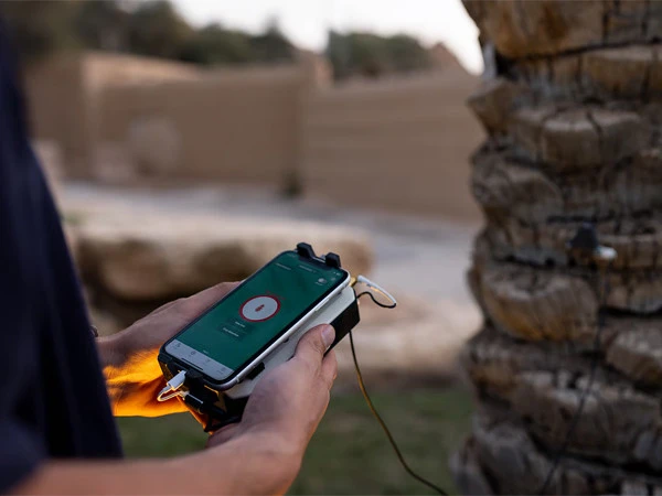 Artificial intelligence-based technology developed to save palm trees