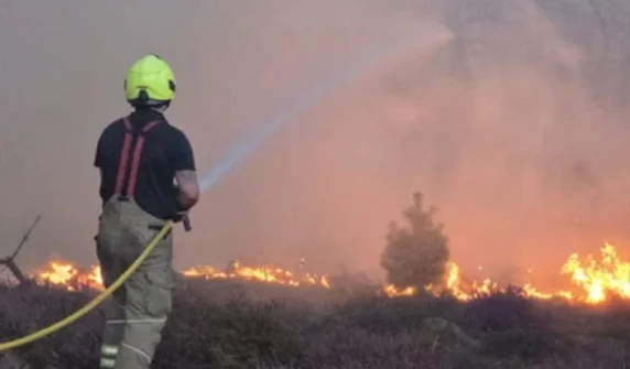 Horrific forest fire near UK nuclear program