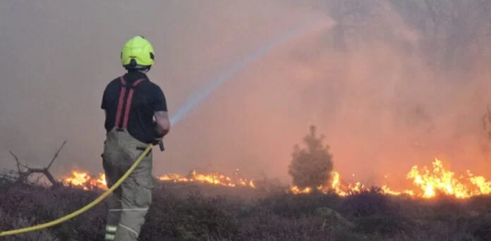 Horrific forest fire near UK nuclear program