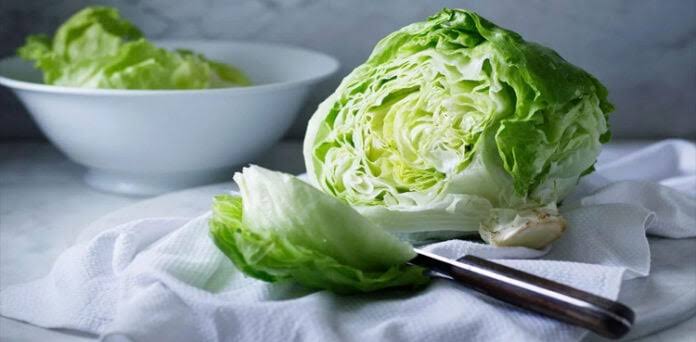 Dangerous bacteria detected in cabbage leaves