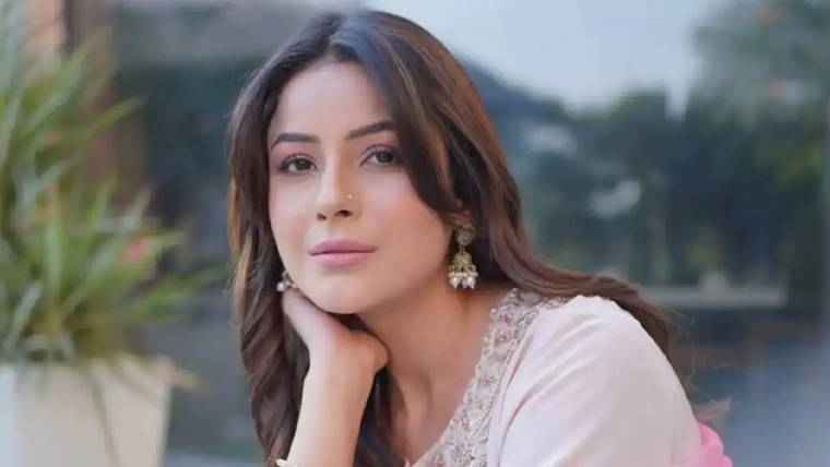 Shehnaaz Gill's stance on her remuneration